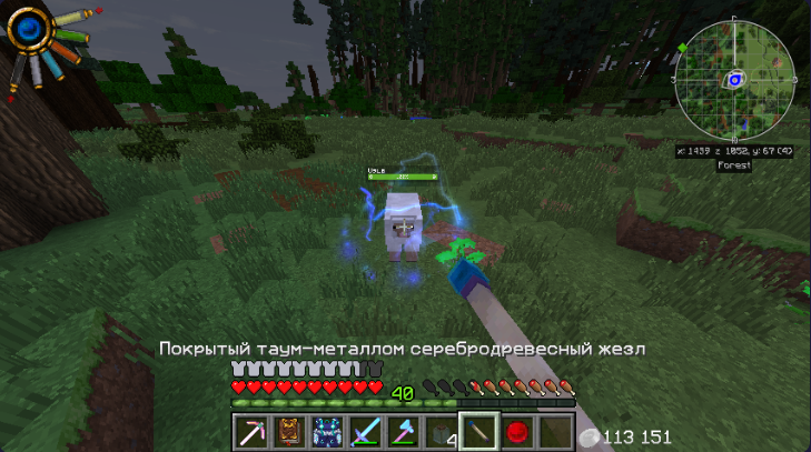 Файл:Opera Снимок 2025-12-09 215903 gravitycraft.net.png