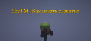 Скай ТМ.png