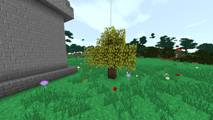 крафт семян 17.png