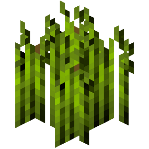 Стадия роста хмеля 7 (IndustrialCraft 2).png