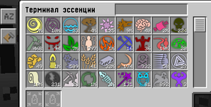 интерфейс терминала эссенции.png
