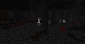 Вампиры лес.jpg