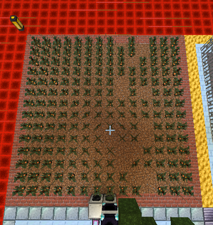 Платформа для выращивания дерева.png