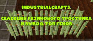 ИС3 вывод генов.png